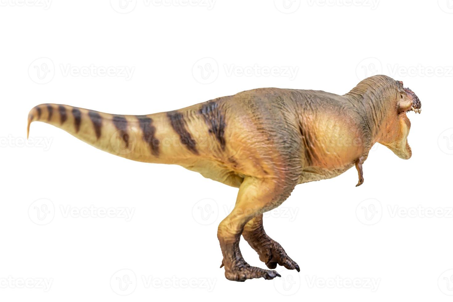 Tyrannosaurus Rex  Dinosaur on white isolate background Clipping path photo