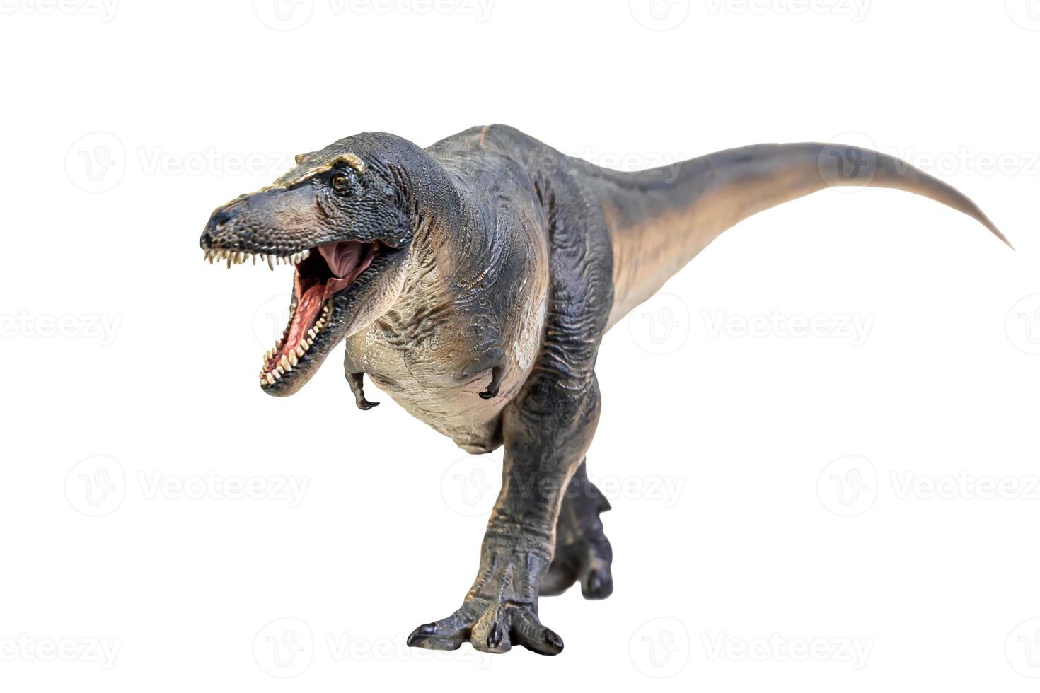 Tarbosaurus  Dinosaur on white isolate background Clipping path photo