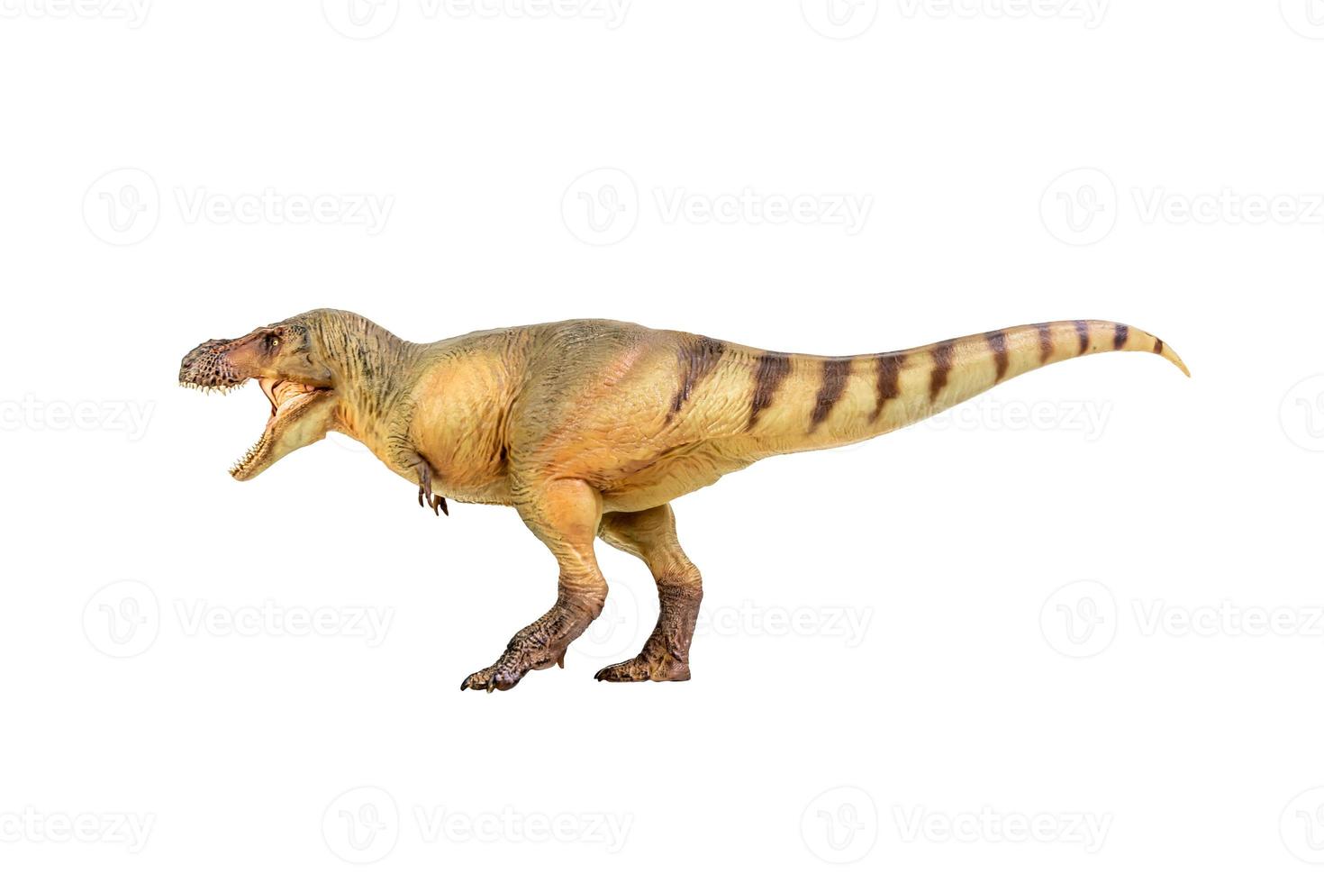 Tyrannosaurus Rex  Dinosaur on white isolate background Clipping path photo