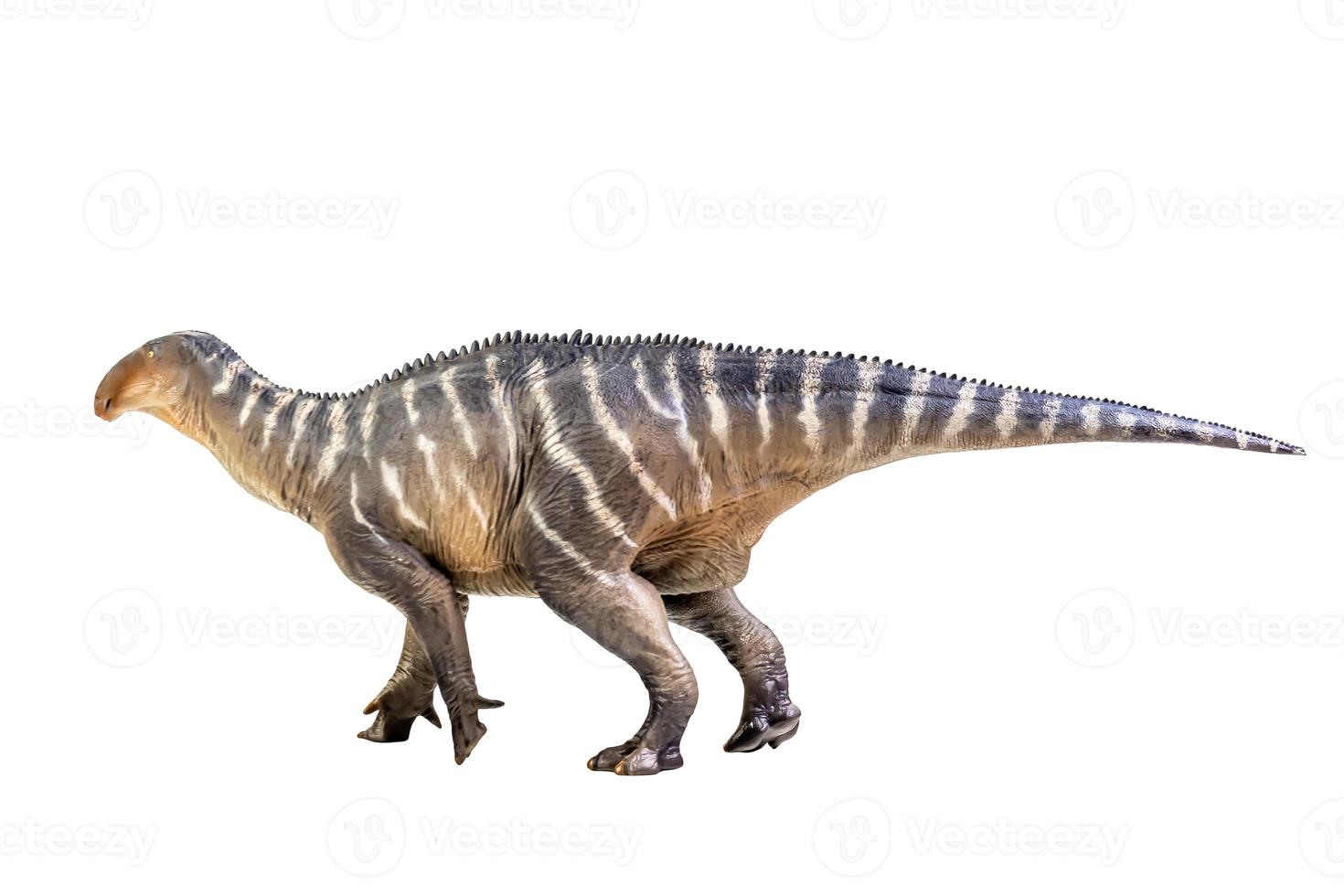 dinosaurio iguanodon en el camino de recorte de fondo aislado blanco foto