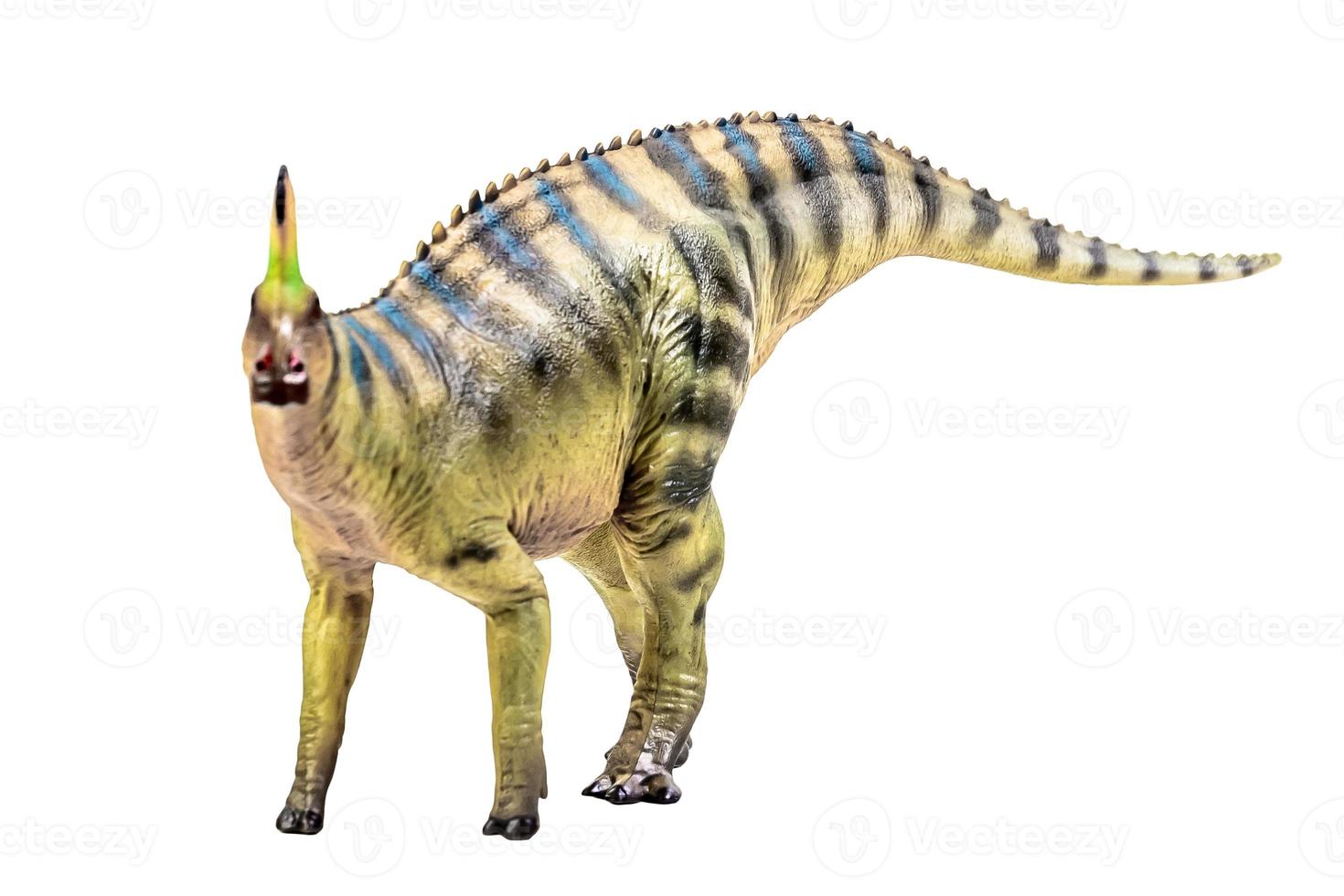 tsintaosaurus spinorhinus dinosaurio sobre fondo blanco aislado trazado de recorte foto