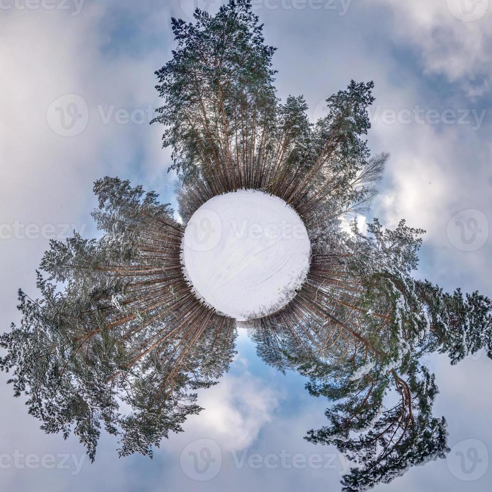 Winter tiny planet in snow covered forest in blue sky. transformation of spherical panorama 360 degrees. Spherical abstract aerial view in forest. Curvature of space. photo