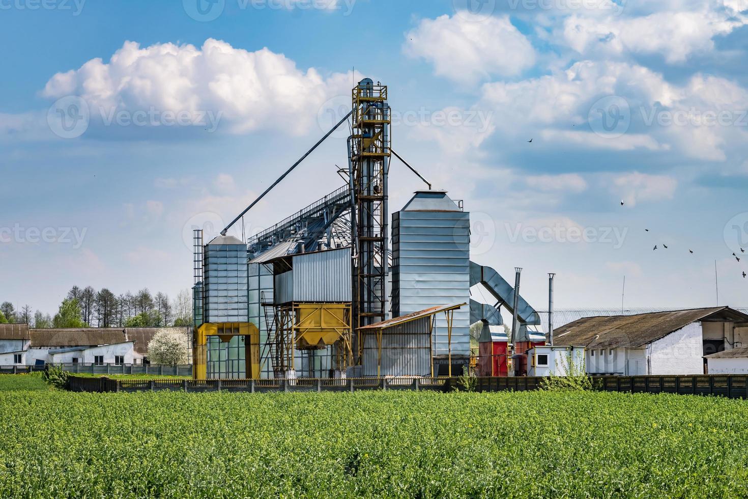 Modern Granary elevator. Silver silos on agro-processing and manufacturing plant for processing drying cleaning and storage of agricultural products, flour, cereals and grain. seed cleaning line photo