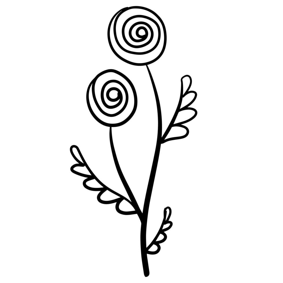 Natural plant. Abstract doodle flower. Sketch black and white Stem with leaves vector