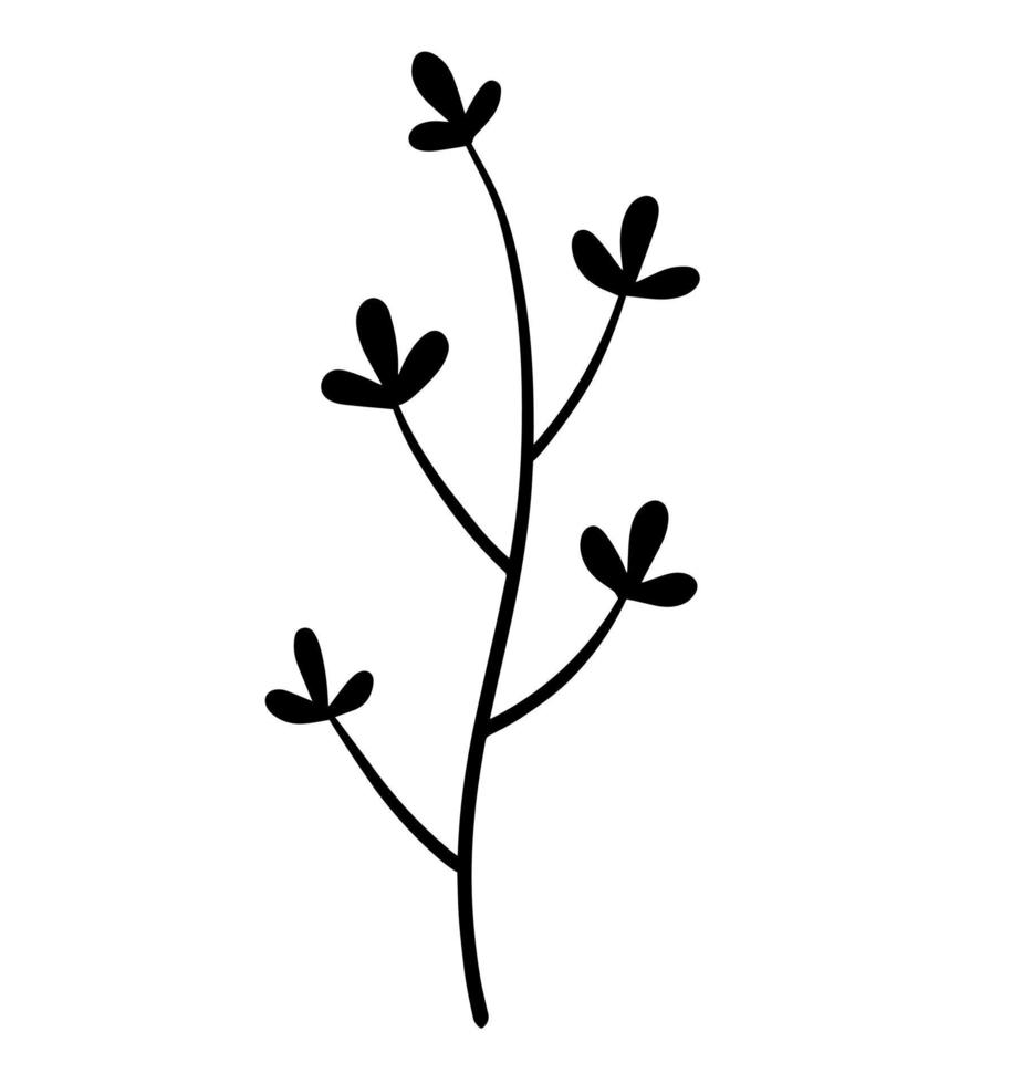 Natural plant. Abstract doodle flower. Sketch black and white Stem with leaves vector