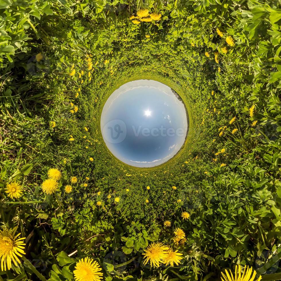 blue sphere little planet inside dandelion field. photo