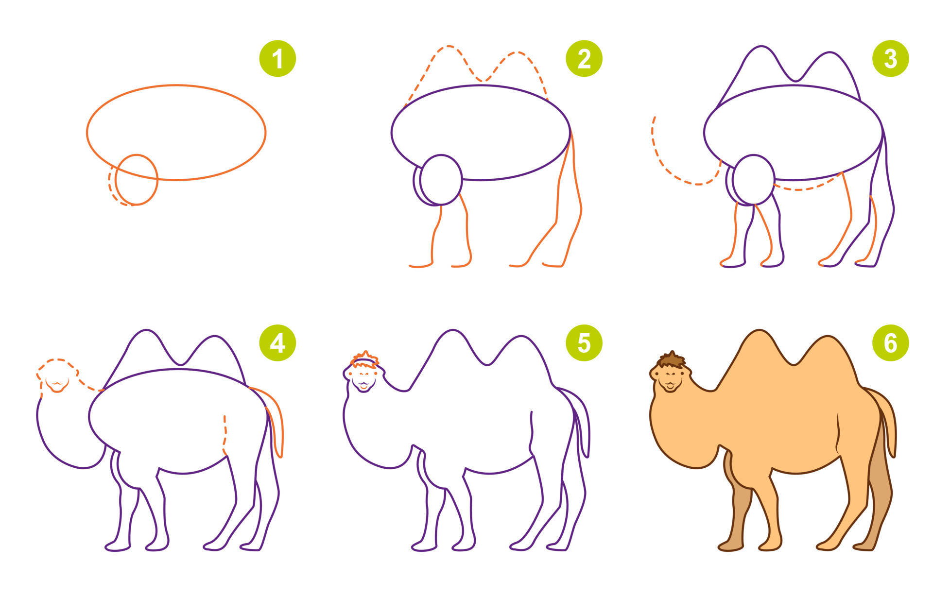 instrucciones para dibujar camello. siga paso a paso para dibujar camello.  hoja de trabajo para niños aprendiendo a dibujar animales salvajes. juego  para la página de vectores infantiles. vino el esquema para