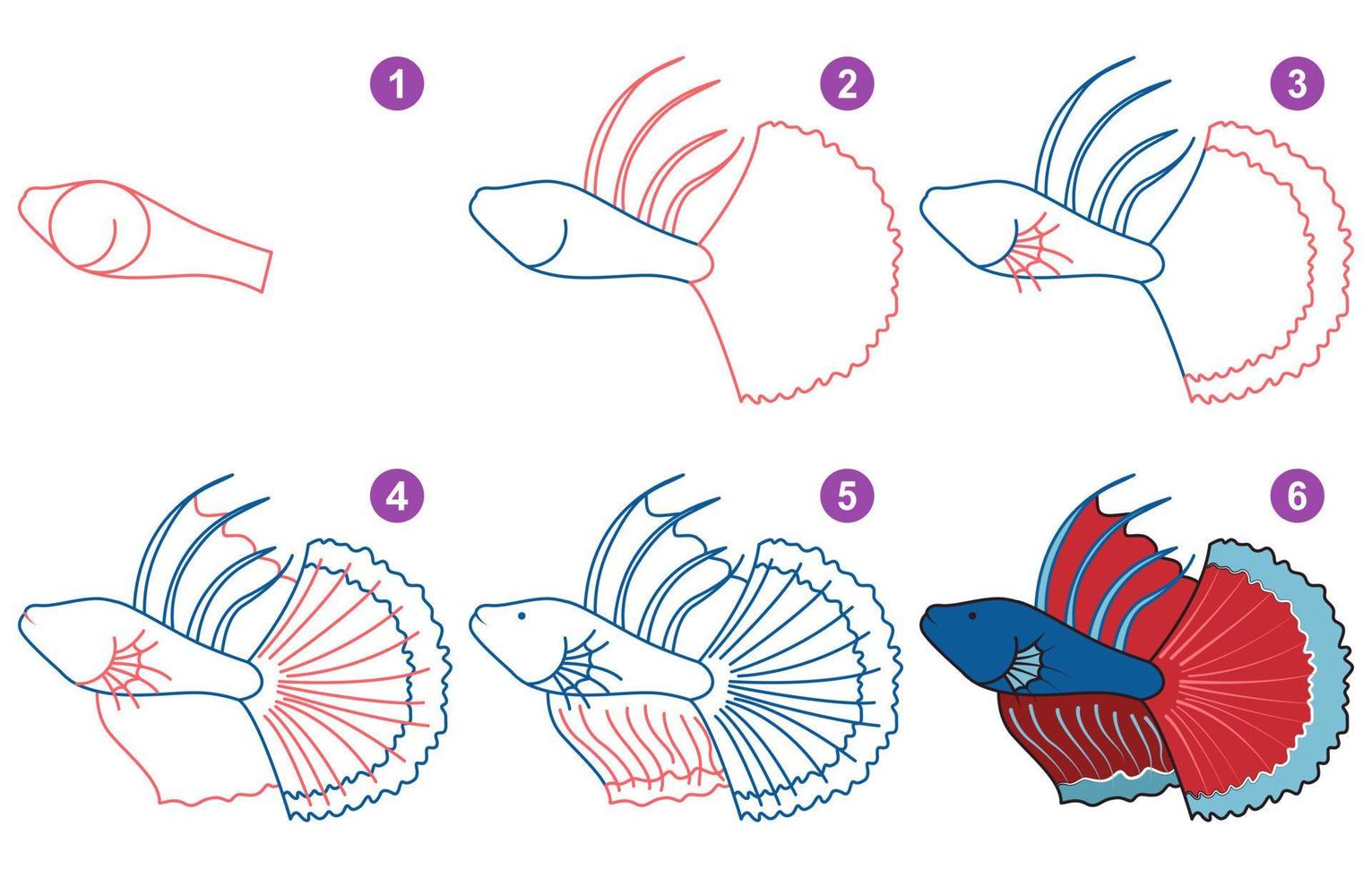 Instructions for drawing cute betta. Follow step by step for drawing betta. Worksheet for kid learning to draw aquarium fish. Game for child vector page. Scheme for drawing betta.