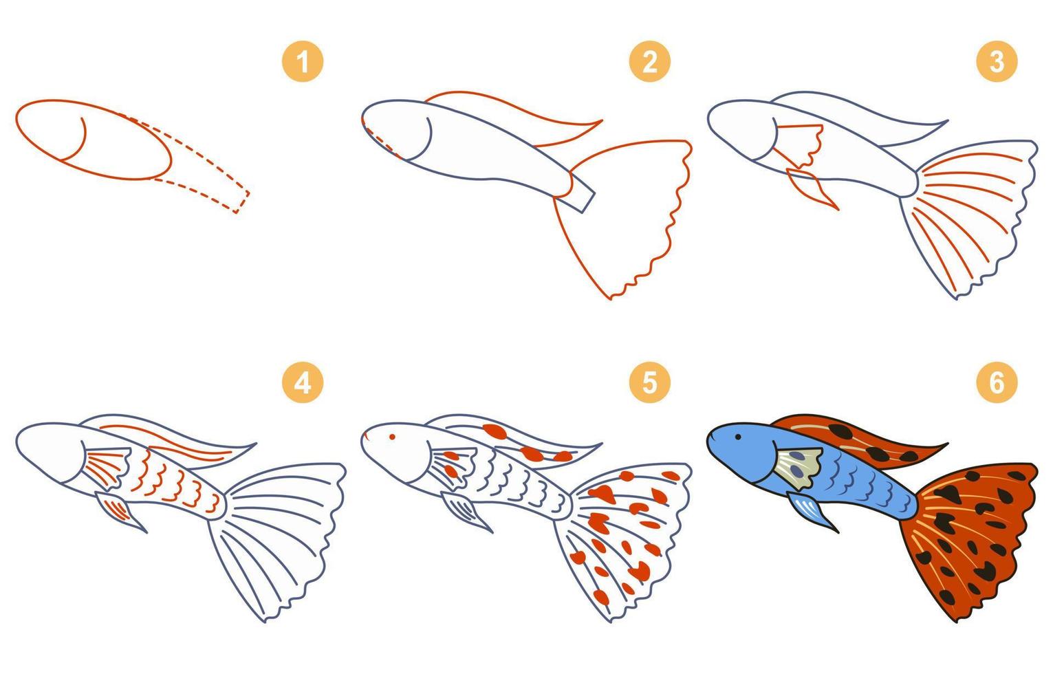 Instructions for drawing cute guppy. Follow step by step for drawing guppy. Worksheet for kid learning to draw aquarium fish. Game for child vector page. Scheme for drawing guppy. Vector illustration