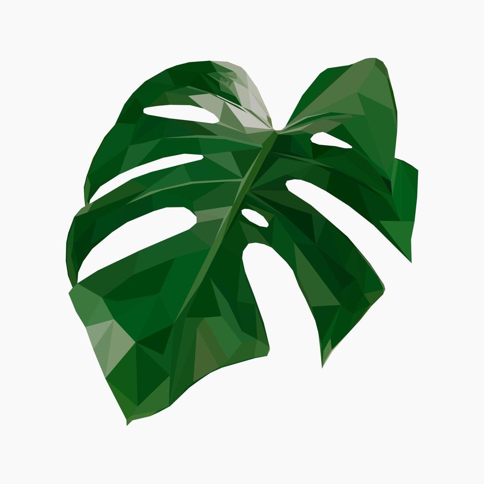 isolated leave of monstera in low poly style. Low poly monstera icon. Logo with tropical leave. Vector illustration