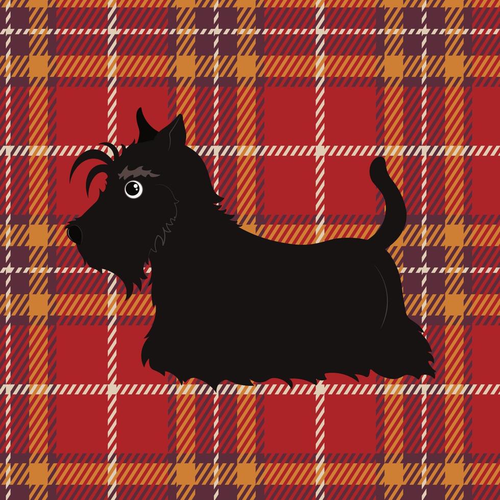 Cartoon black scottish terrier on tartan background. Scottish terrier in cartoon style. Vector illustration