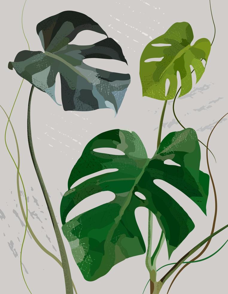 Floral stylish art with tropical monstera leaves. Modern poster with monstera. Vector illustration