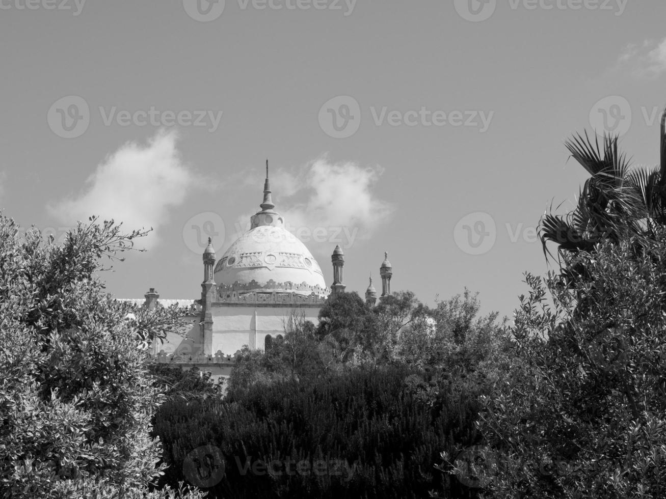 tunis in Africa photo