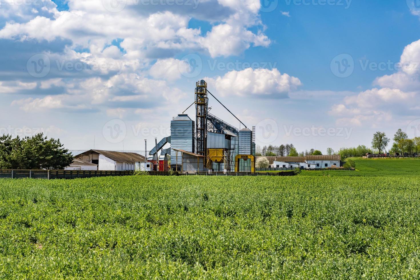 Modern Granary elevator. Silver silos on agro-processing and manufacturing plant for processing drying cleaning and storage of agricultural products, flour, cereals and grain. seed cleaning line photo