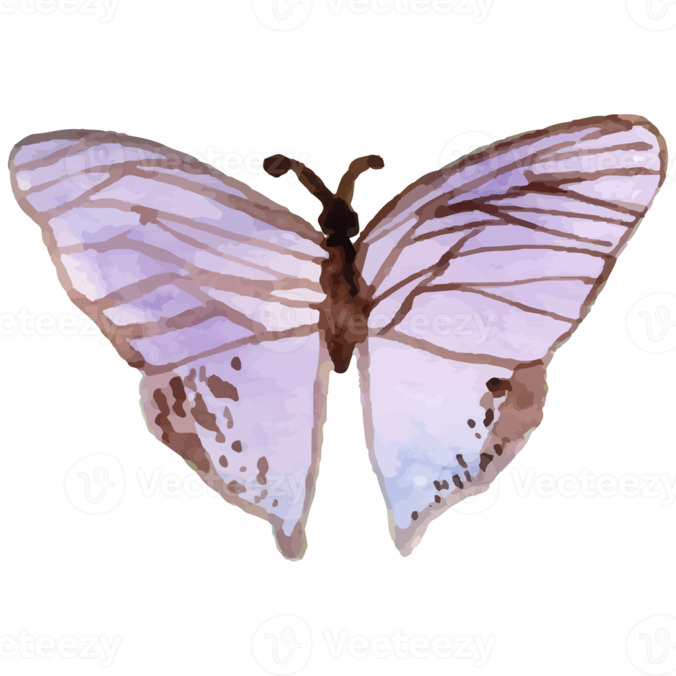 Watercolor Purple Butterfly png