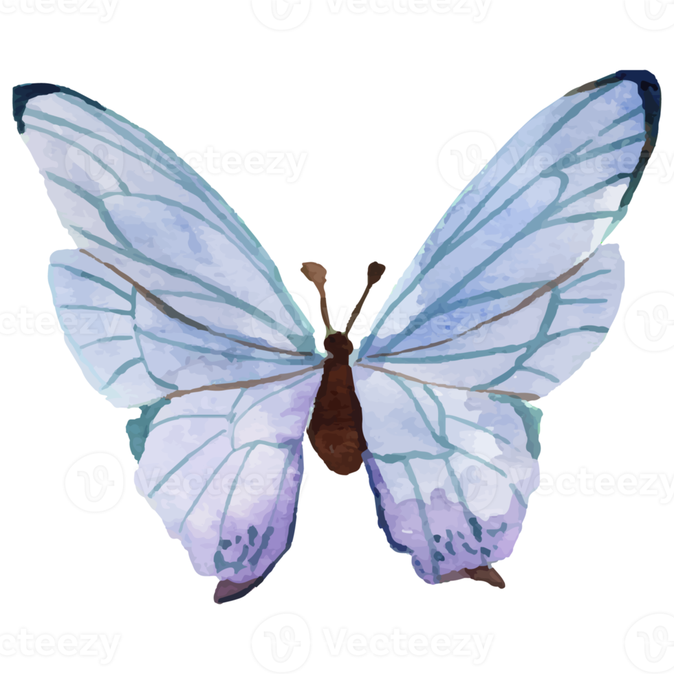 Watercolor Blue Purple Butterfly png