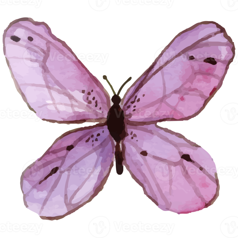 Watercolor Purple Butterfly png