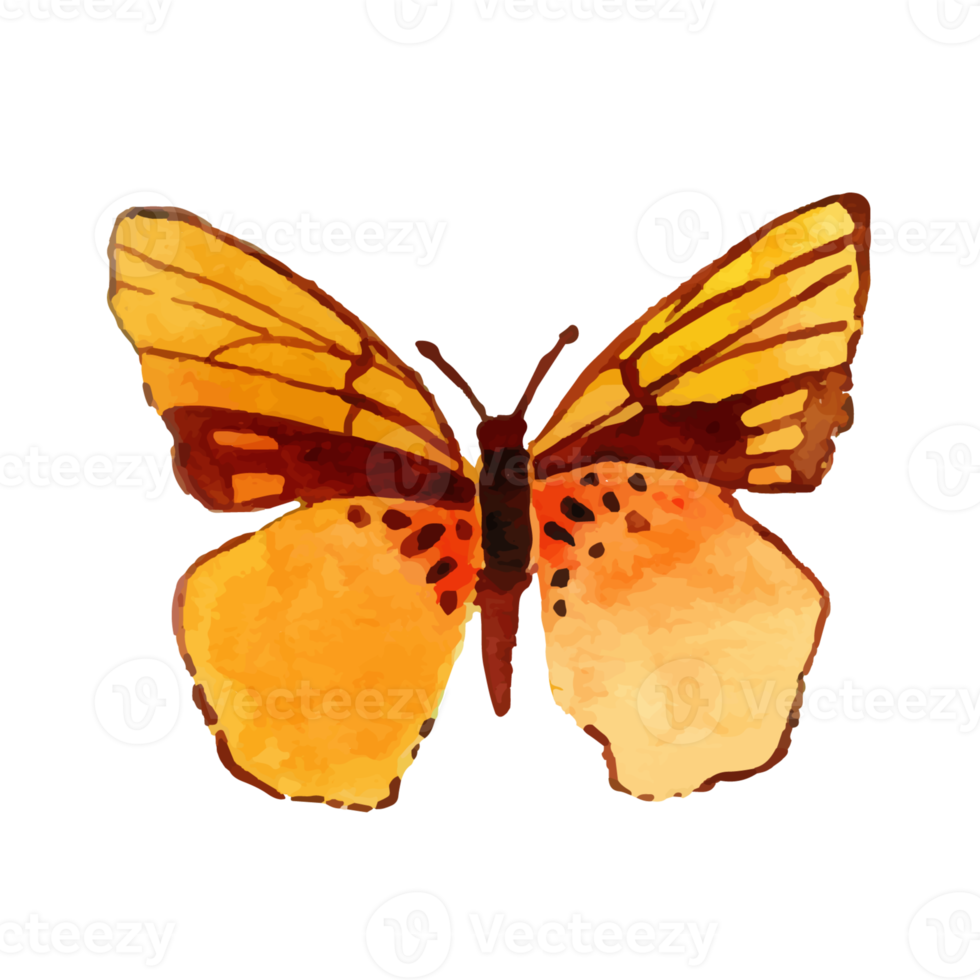 Watercolor Yellow Butterfly png