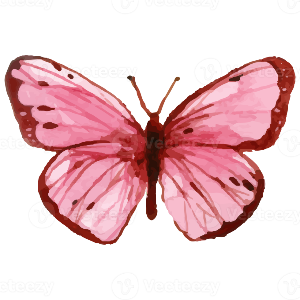 aquarela borboleta rosa png