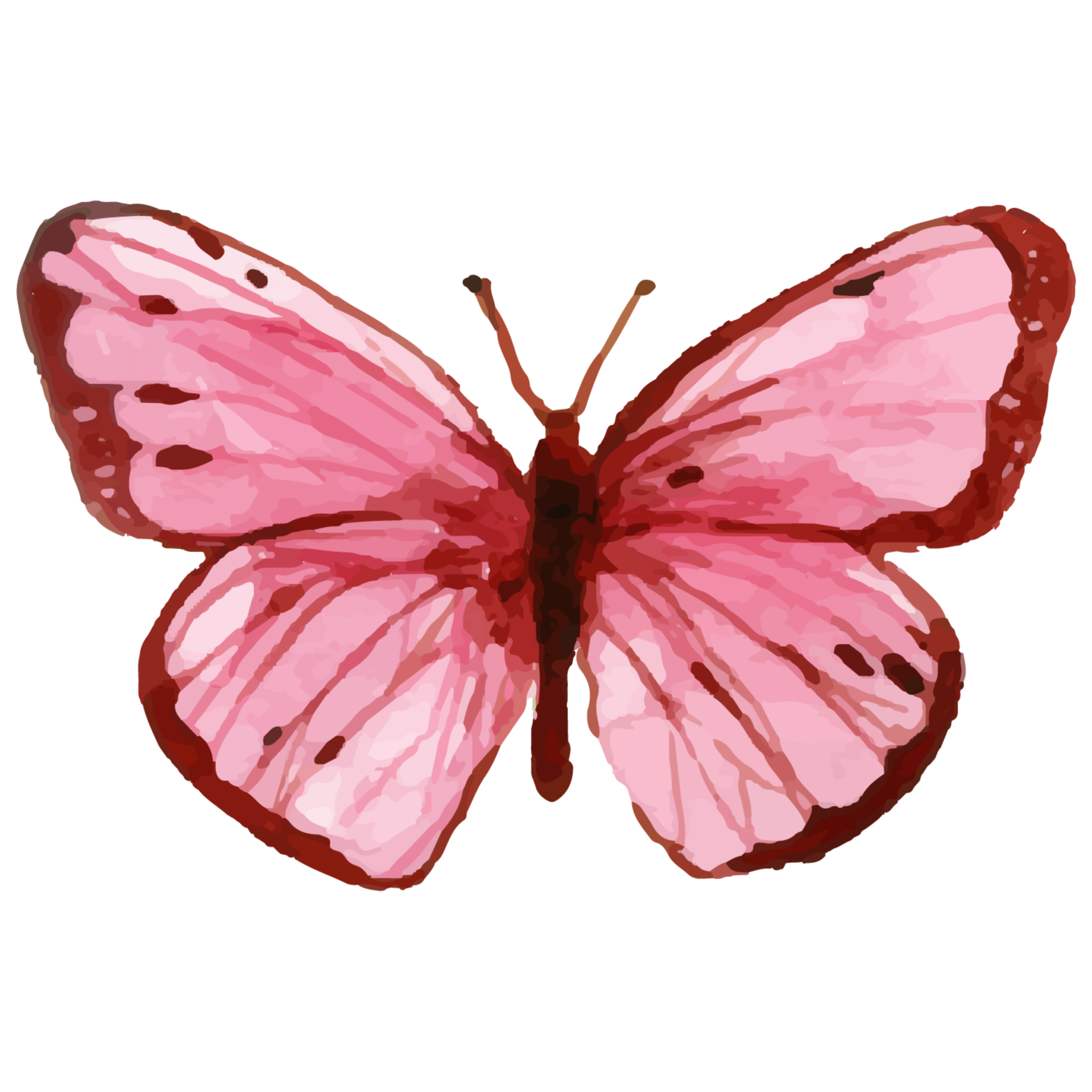 0 Result Images of Borboleta Aquarela Rosa Png - PNG Image Collection