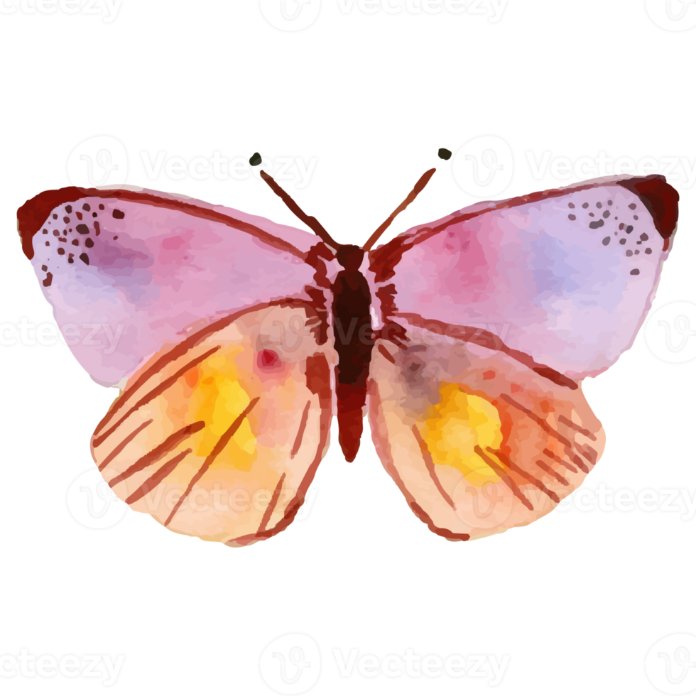 Watercolor Purple Butterfly png