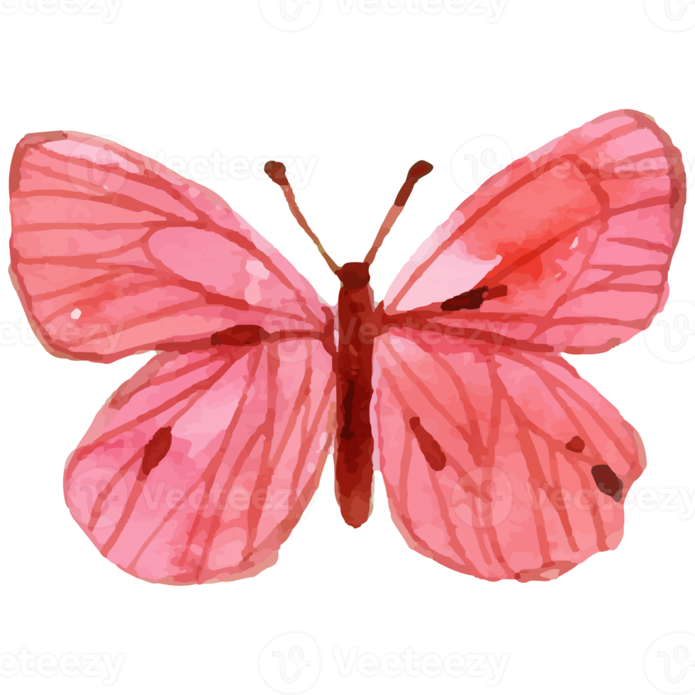 Free Watercolor Pink Butterfly 10921901 PNG with Transparent Background