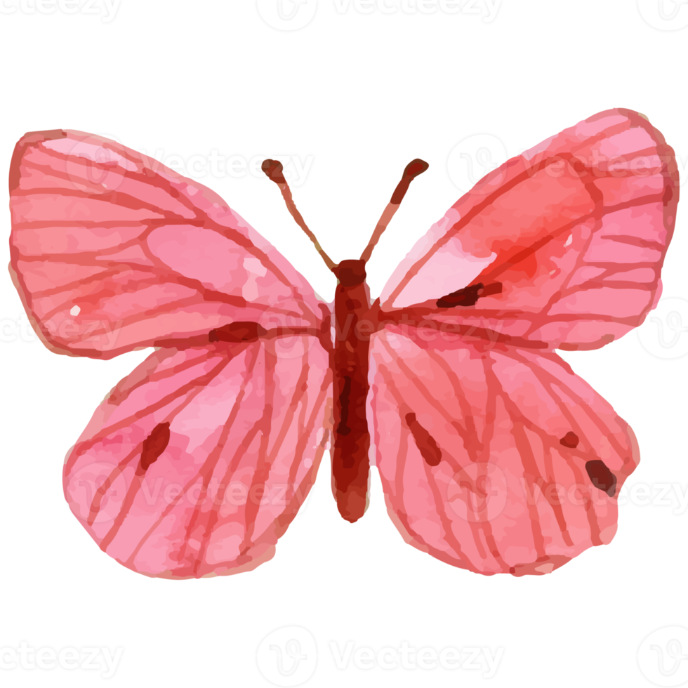 aquarela borboleta rosa png