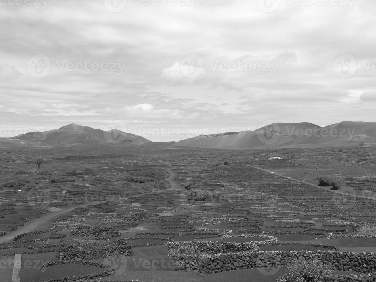 Lanzarote in spain photo