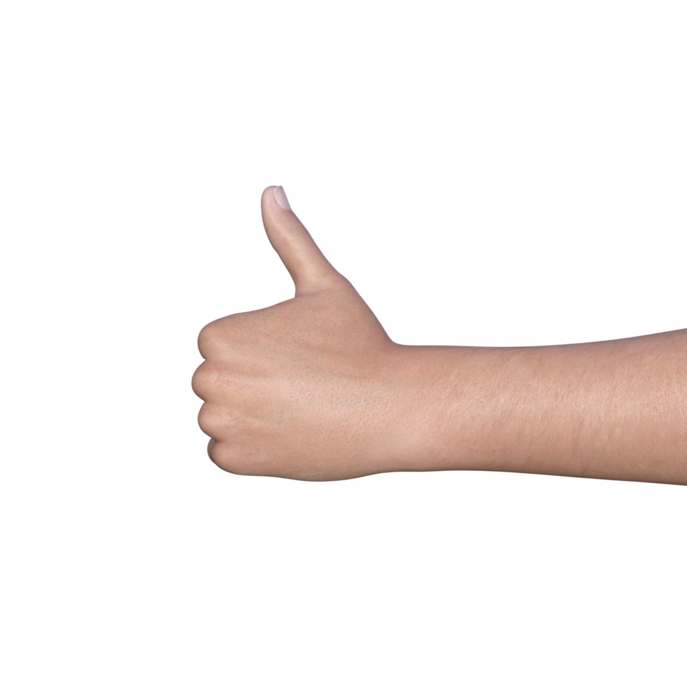 hands pose gesture 3d rendering png