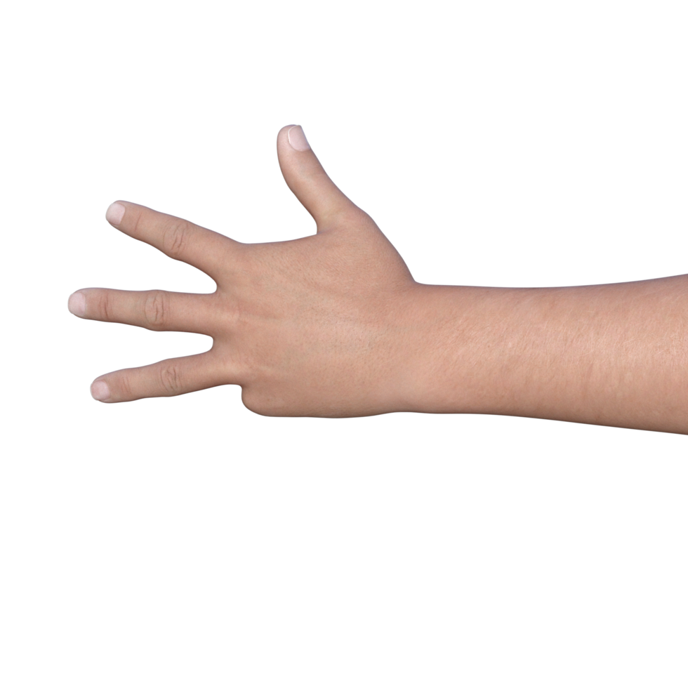 hands pose gesture 3d rendering png