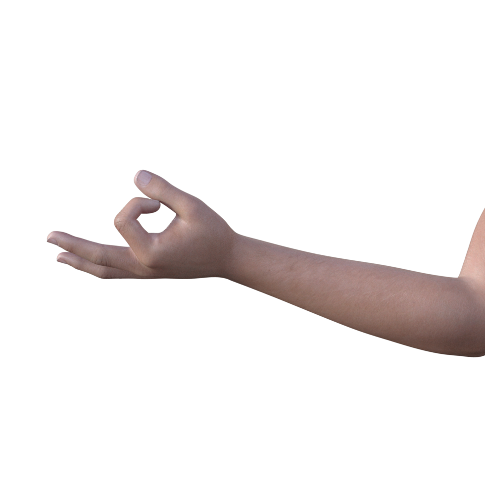 hands pose gesture 3d rendering png