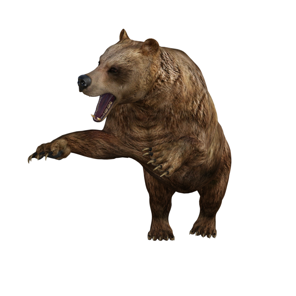 3d Illustration Bear png