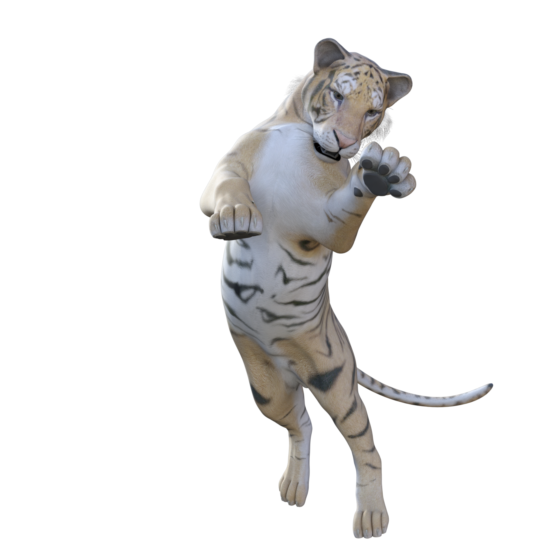 Tiger 3d model