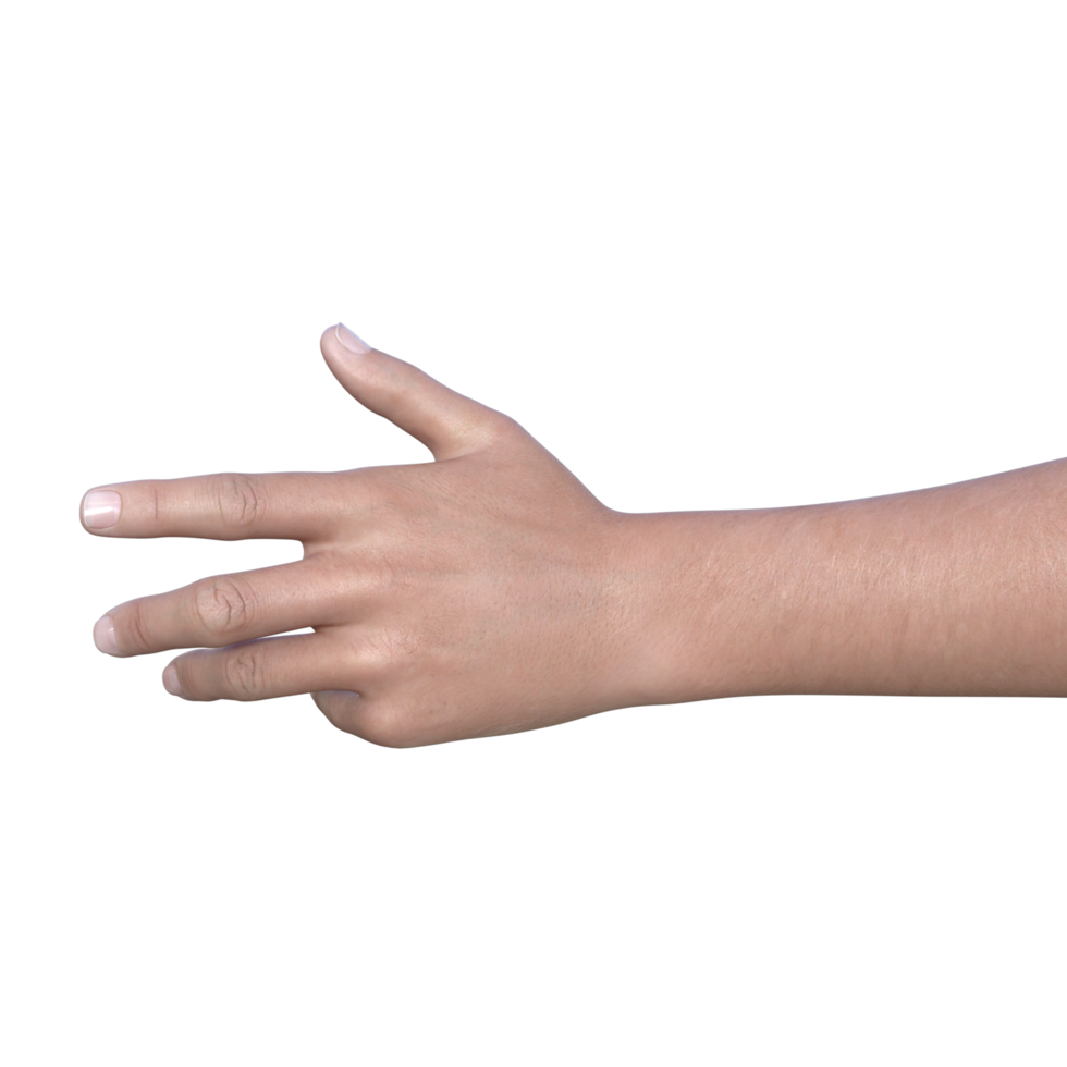 hands pose gesture 3d rendering png