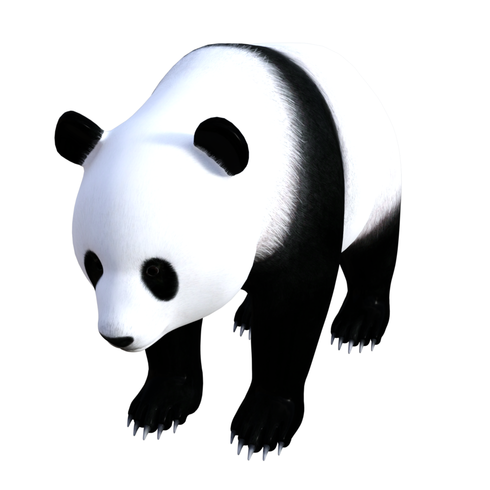 divertido, panda, 3d, ilustración png