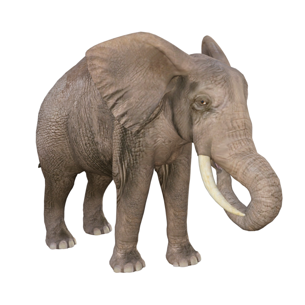 elefante 3d ilustración png