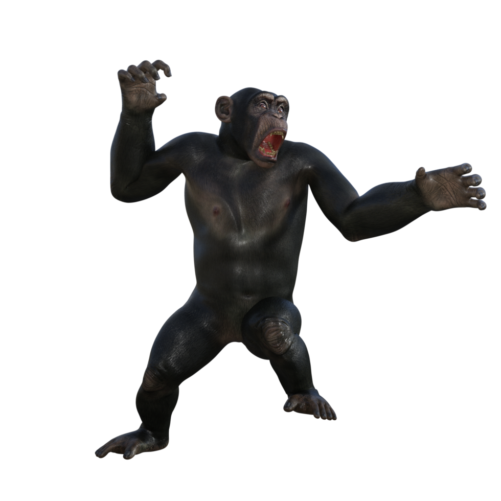 render 3d de chimpancé png