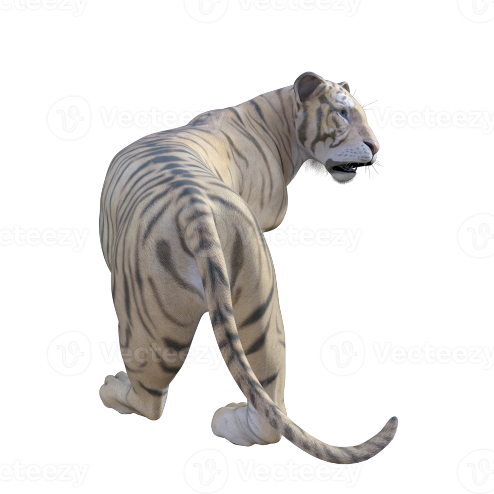 Tiger 3d model illustration png