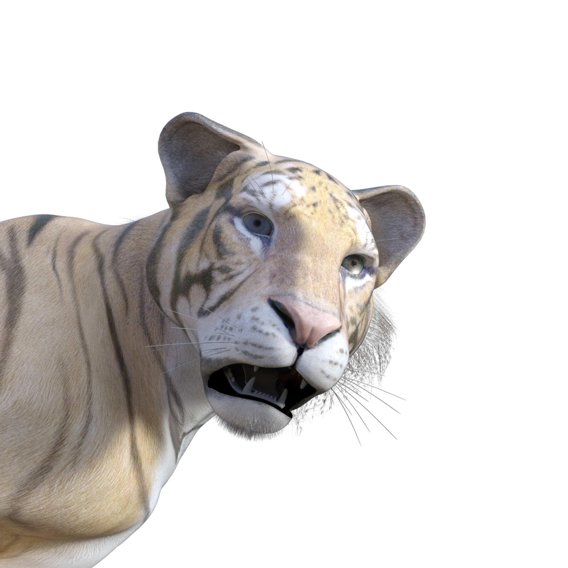 Tiger 3d model illustration 10922194 PNG