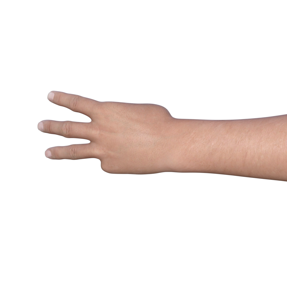 mãos posam gesto renderização em 3d png