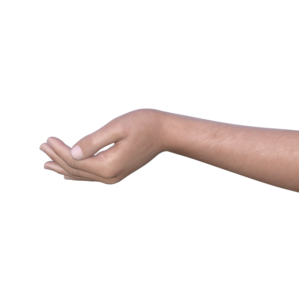 hands pose gesture 3d rendering png