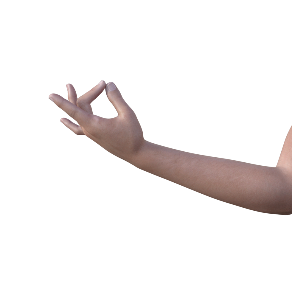 hands pose gesture 3d rendering png