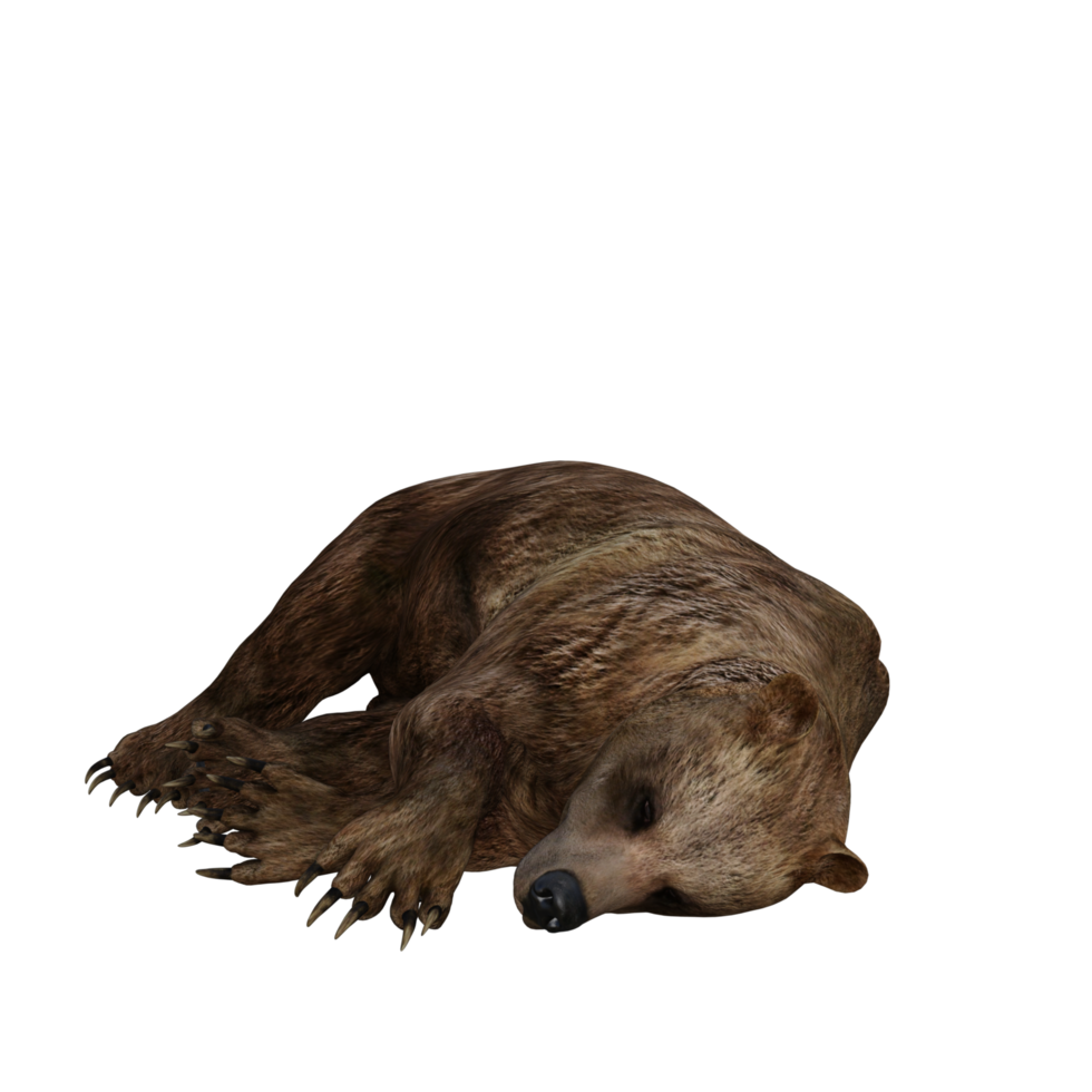 urso de ilustração 3D png