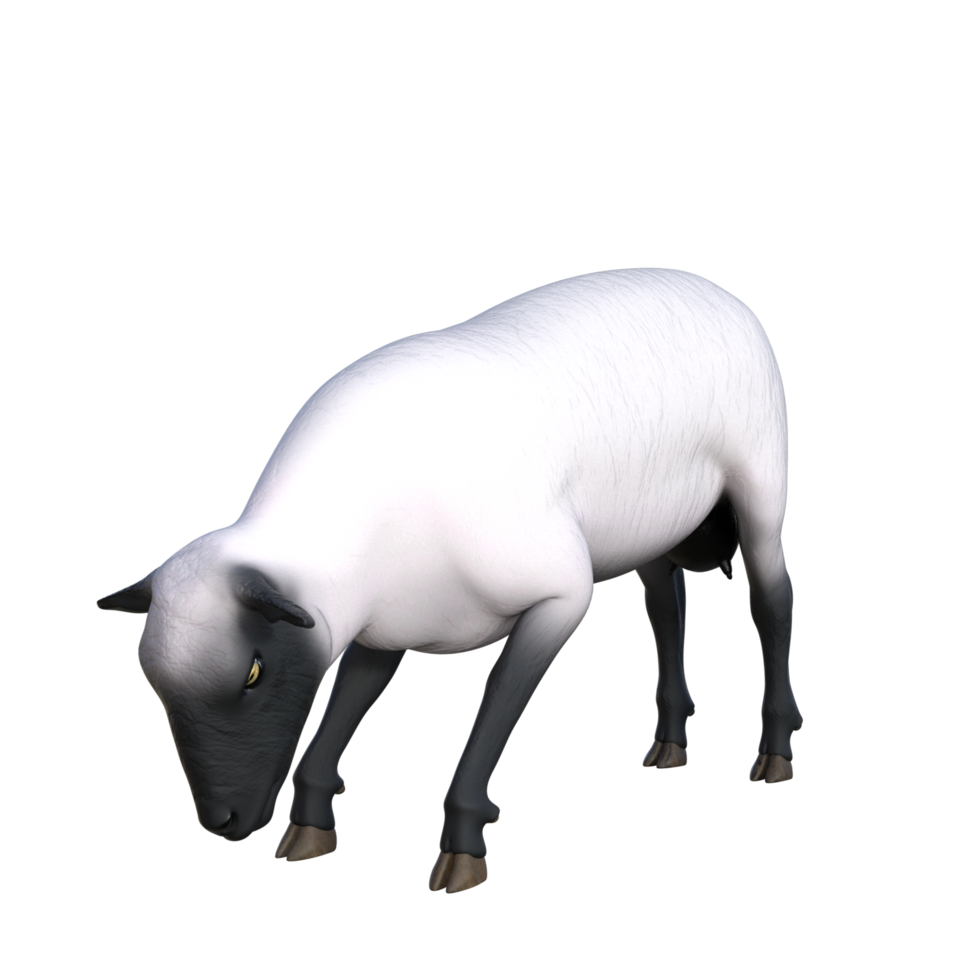 Schafe 3D-Illustrationen png