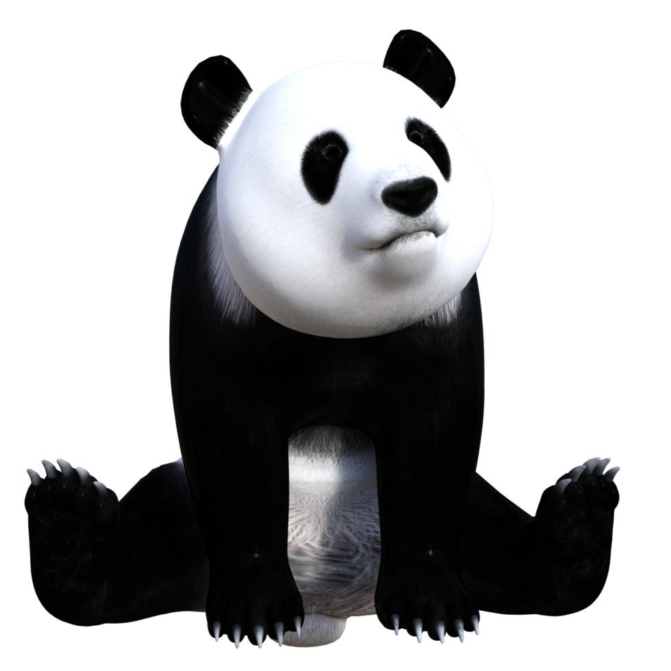 roligt panda 3d illustration png