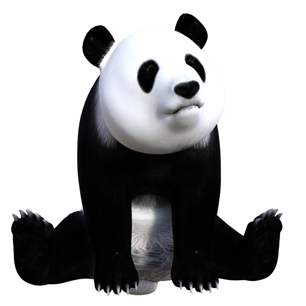 Spaß Panda 3D-Illustration png