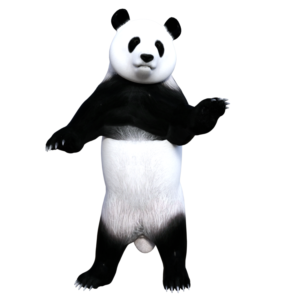 roligt panda 3d illustration png