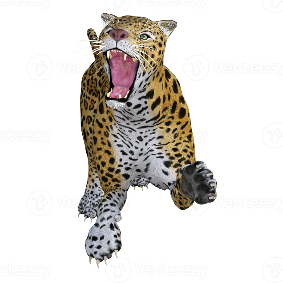 modelo de ilustración de pose 3d de jaguar png