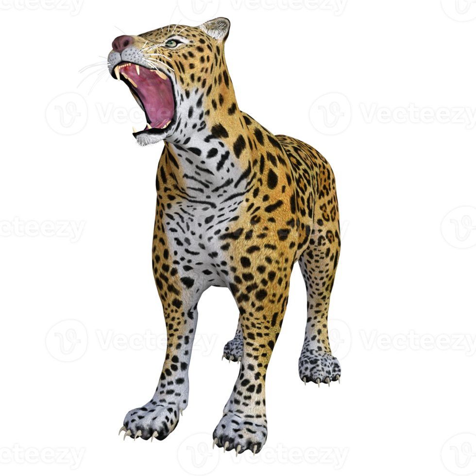 Jaguar 3d pose illustration model png