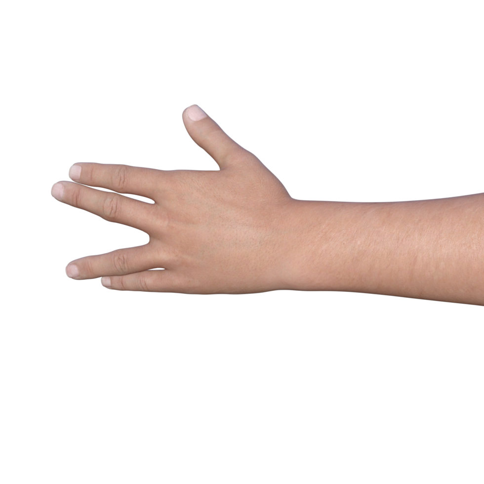 hands pose gesture 3d rendering png